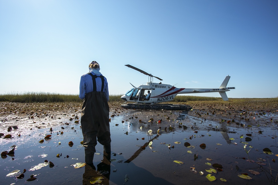 Everglades, Researchers, Helicopter