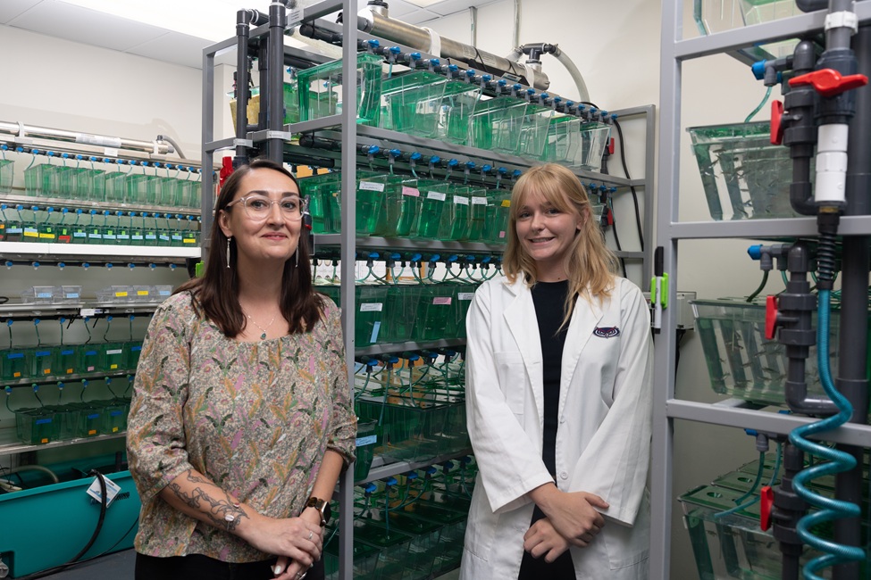 FAU Lands NIH Grant to Study New Cells That May Repair Nerve Damage