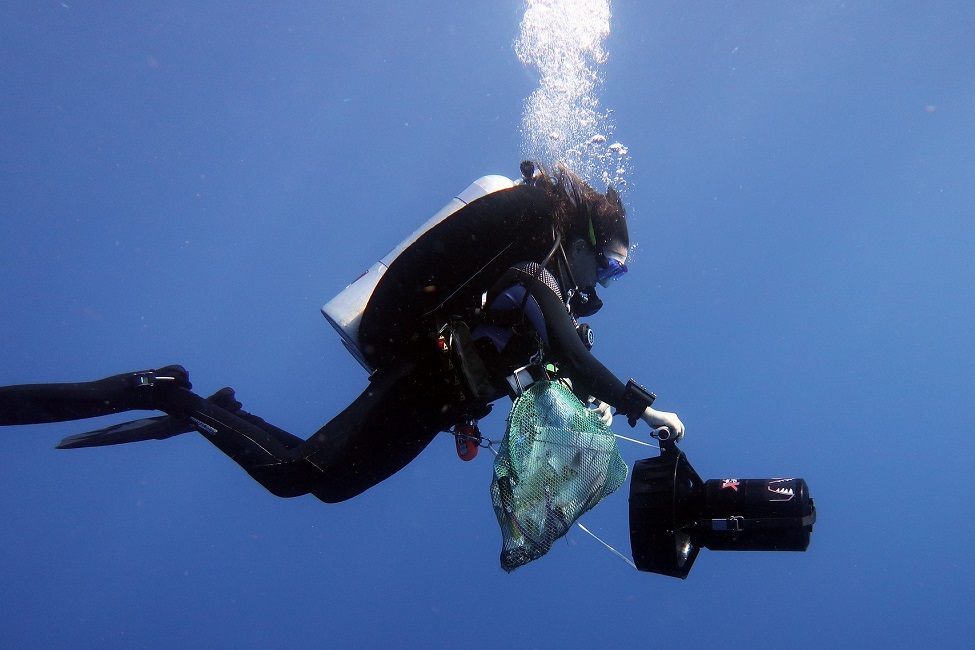 FAU PhD Student Alexis Sturm Dives in the Dry Tortugas 