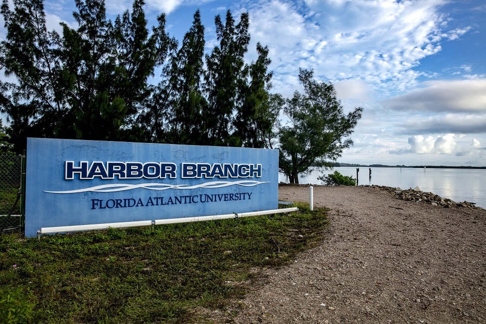 Harbor Branch, Harbor Branch Oceanographic Institute, Research, Climate Change, Water Management, Florida, West Florida Continental Shelf