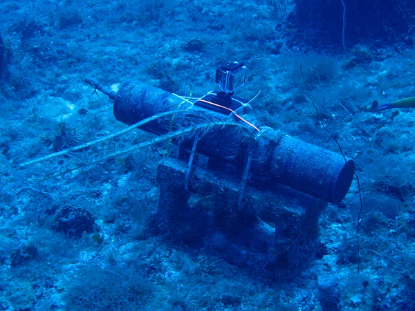 A hydrophone is configured with a GoPro camera at a spawning aggregation site