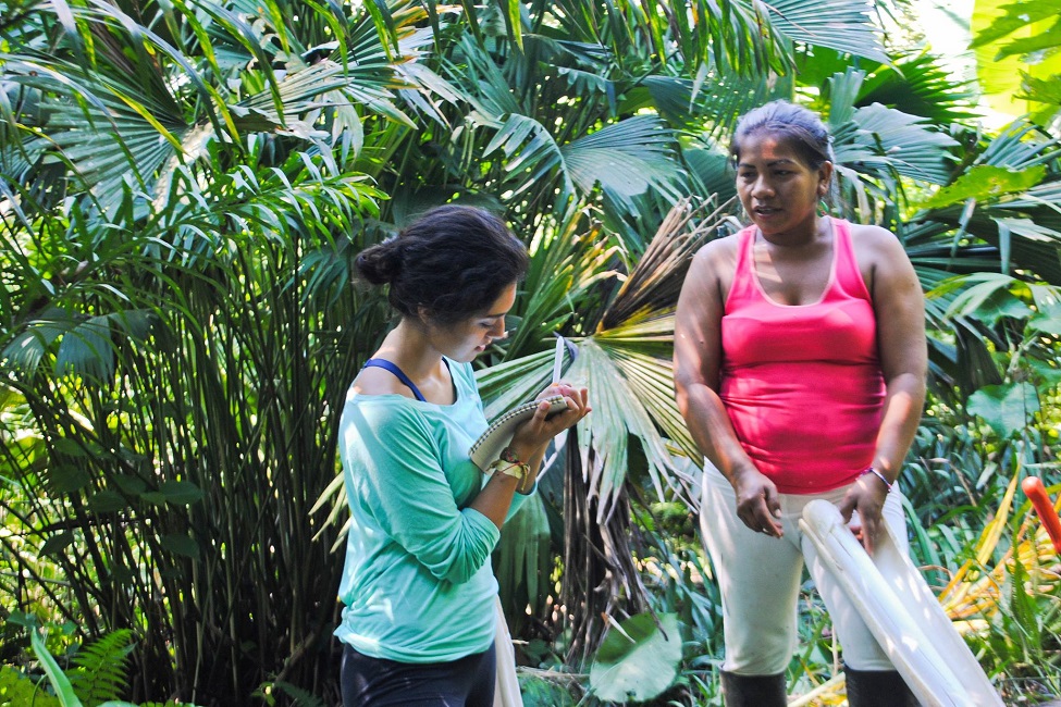 Newswise: Pharmacy in the Jungle Study Reveals Indigenous People’s Choice of Medicinal Plants