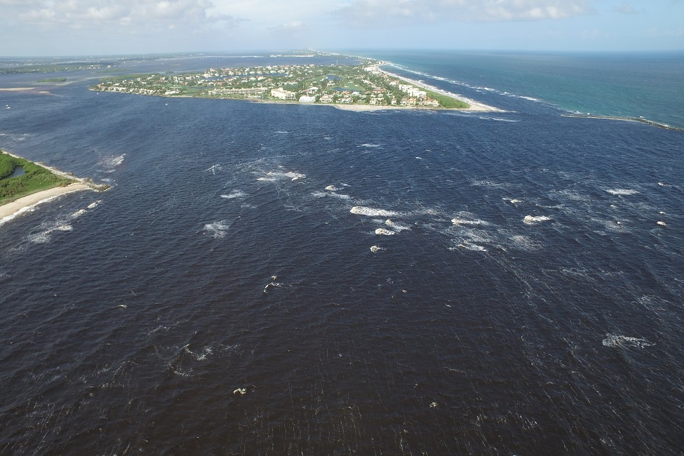 Experts Available on Impacts of Lake Okeechobee Discharge 