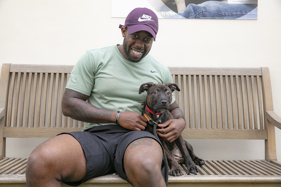 Program Matches FAU Military Veteran Students with Shelter Dogs
