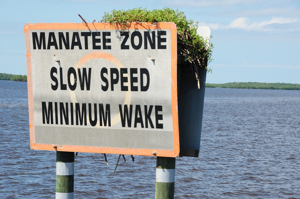 Manatee Habitat Speed Sign