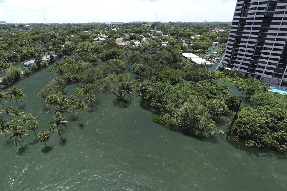 Osprey Park, City of West Palm Beach, Simulation, Flooding, Sea Level Rise, Category 5 Hurricane, Virtual Reality, VR