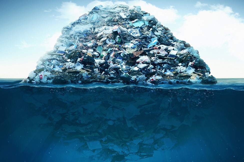 Plastic Debris, Oceanic Biomass, Environment, Marine Habitat, Plastics, Pollution, Cellular DNA, Visualization Method, Microscopy, Calculations, Quantitative Number 