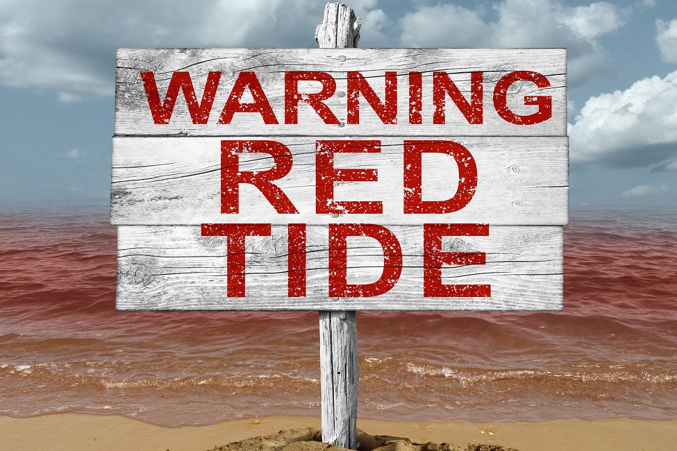 Red Tide, Harmful Algal Blooms, Warning System, Monitoring, AUTOHOLO