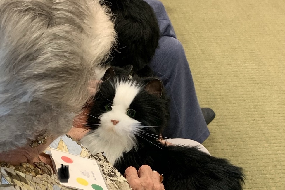 Robotic Cat, Isolated Seniors, Pandemic, COVID-19, Alzheimer's Disease, Dementia, Nursing, Louis and Anne Green Memory and Wellness Center, Social Isolation, Pet Therapy
