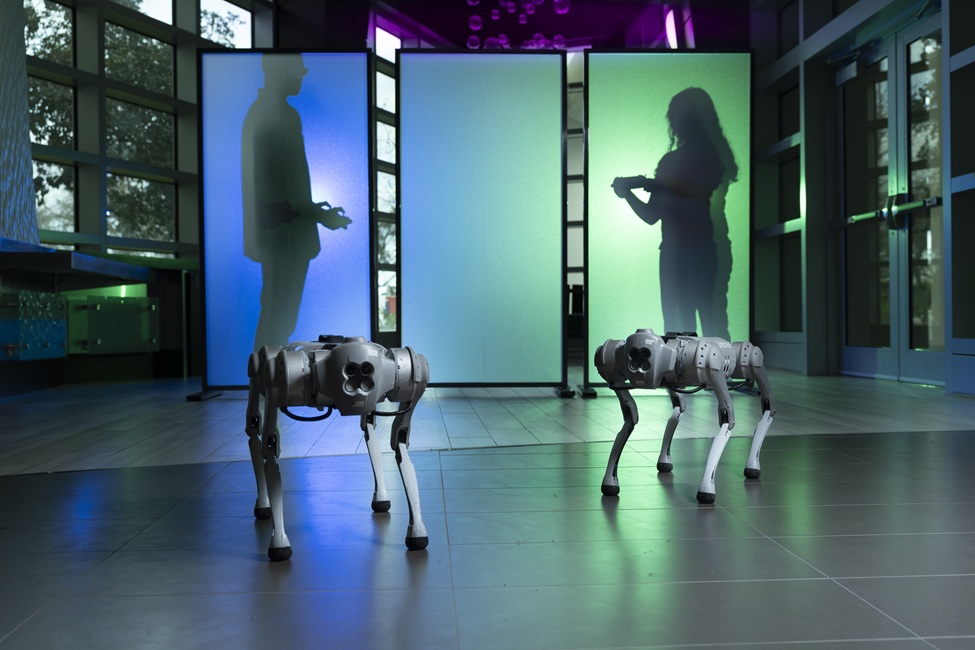 Robots, Robot Dogs, AI, Robotics