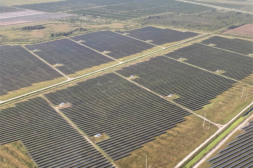 Solar Energy, Florida, Utility-scale Energy Installations, Endangered Florida Panther, Conservation, Ecology, Wildlife Corridors, Grasslands, Pastures, Forests, Solar Facilities, Connectivity, Energy Production, Carbon Neutral Sources, Wildlife, Habitat Degradation