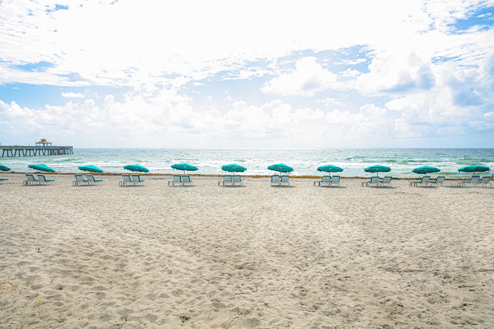 Melanoma Cases and Deaths Highest Among Florida's Older Adults