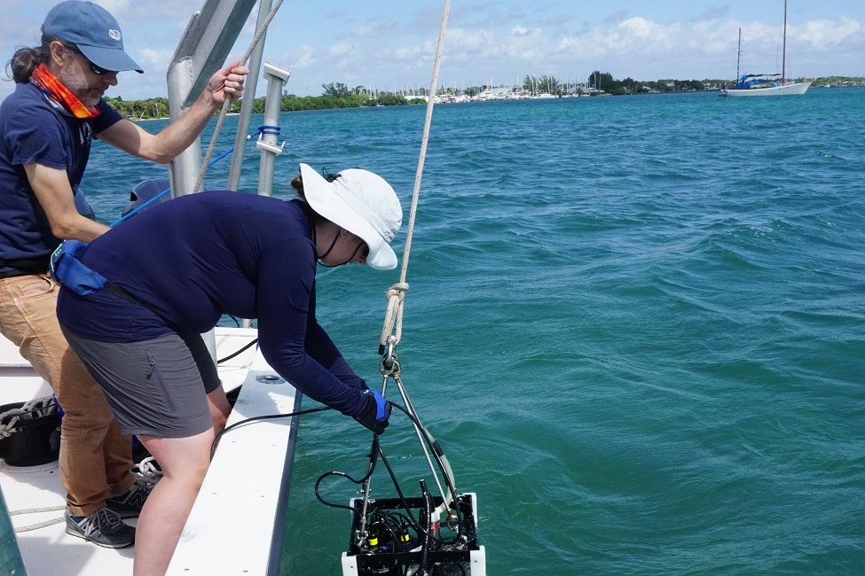 Indian River Lagoon, Water Surface, Toxins, Harmful Algal Blooms, Ecosystem, Environment, Pollution, Water Quality, Marine Health, Human Health