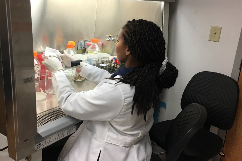 Student, Biological Sciences, Lab, Science 