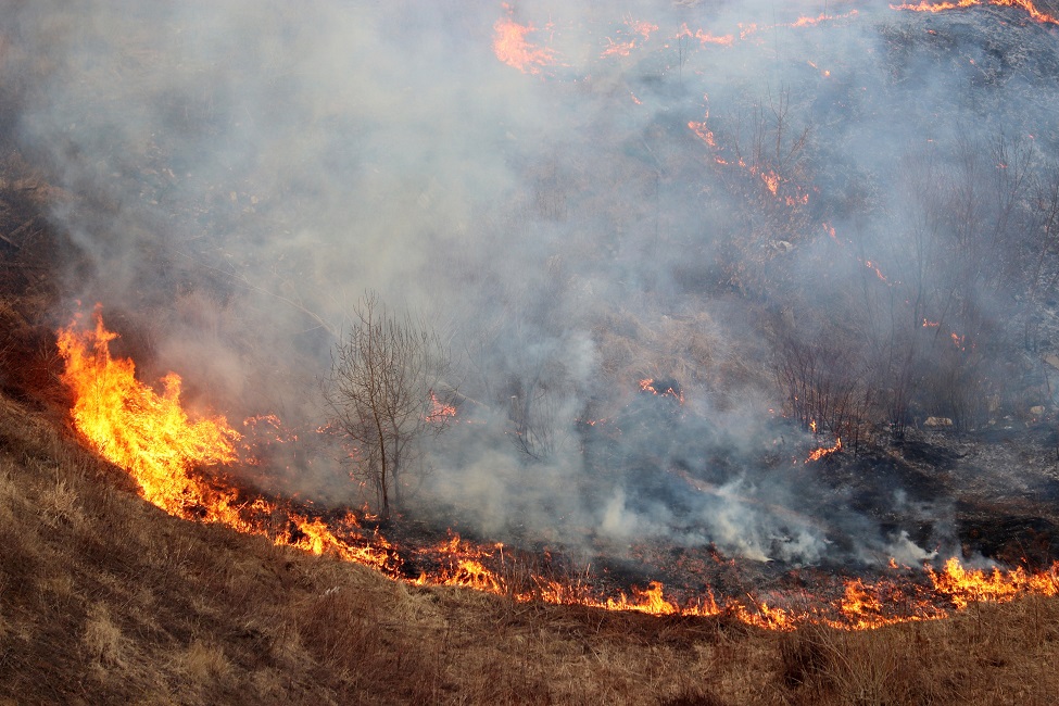 Wildfires, Alaska, Permafrost, Permafrost Thaw, Tanana Flats, Climate Warming