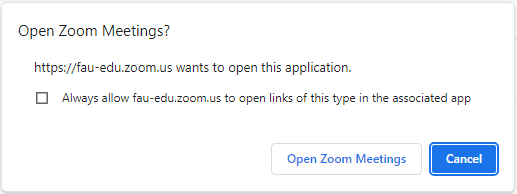 zoom always allow pop-up