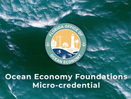 microcredentialimage