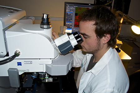 Man looking into microscope in a lab