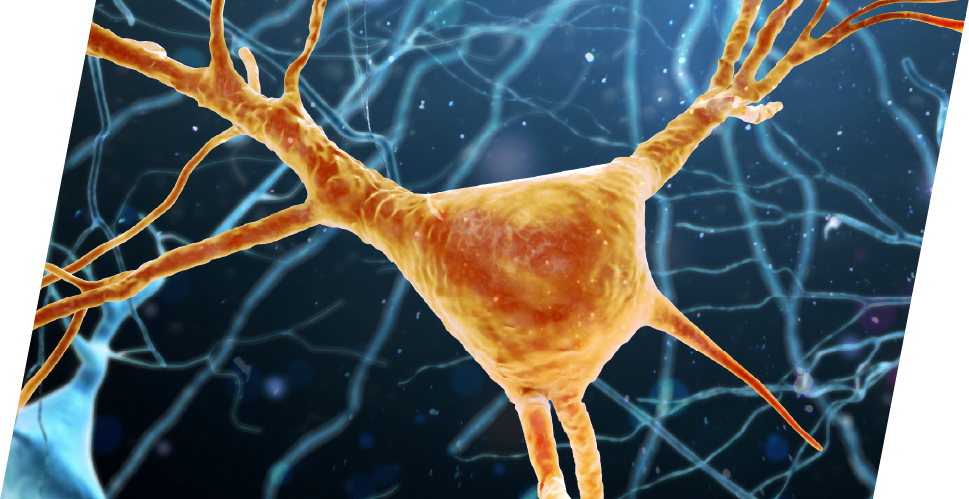 neuron on blue background