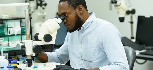 researcher looking through microscope