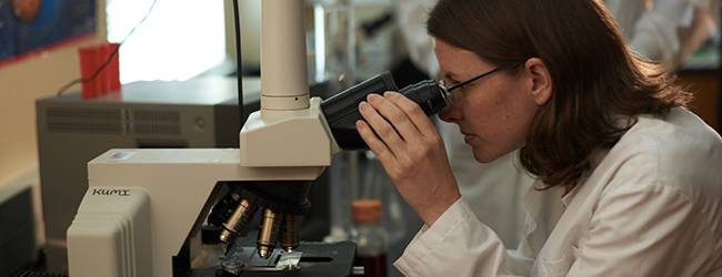 female researcher looking through microscope