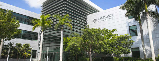 Happy 10th Anniversary to Max Planck Florida Institute for Neuroscience