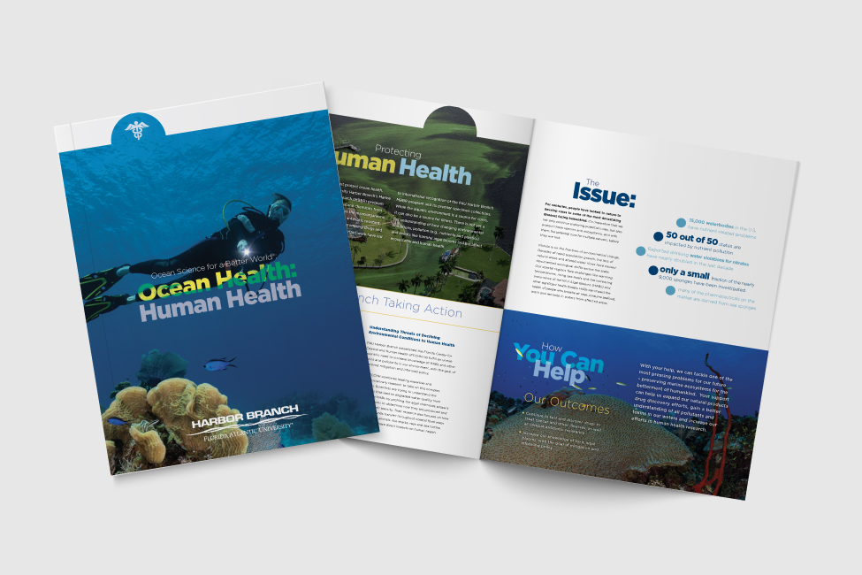 HBOI Ocean Brochure