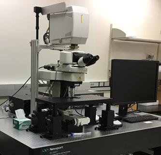 Nikon A1R Multiphoton with FN1 Upright Microscope