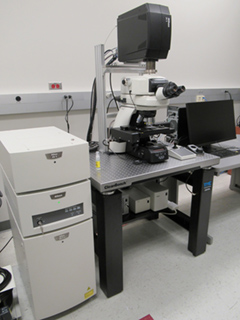 Nikon A1R Confocal System on an Eclipse Ni Upright Microscope