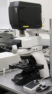 Nikon A1R Confocal System on an upright Ni-E microscope