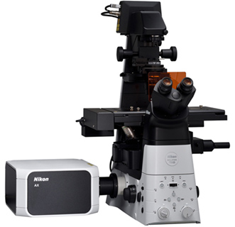 Nikon AXR Confocal System on an Eclipse Ti2-E inverted Microscope