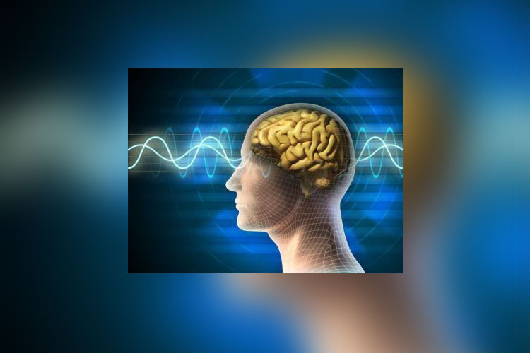 illustration of brain in blue and yellow on blue abstract background