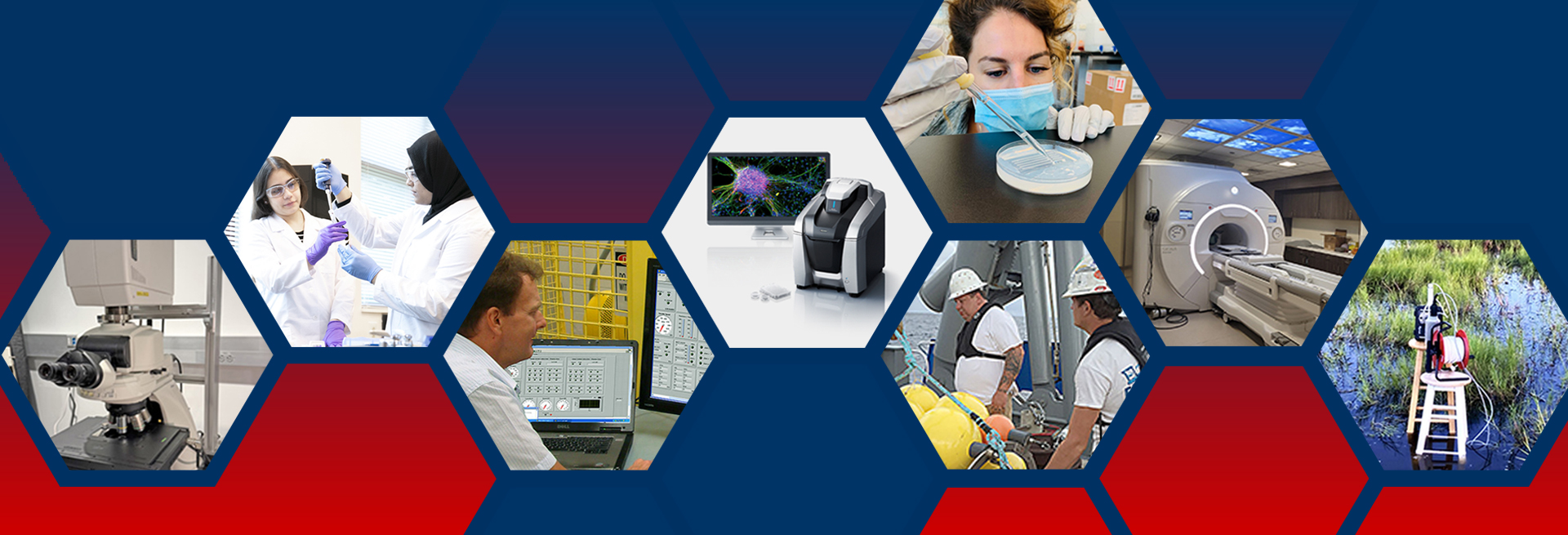 Biostatistics Collaborative Core