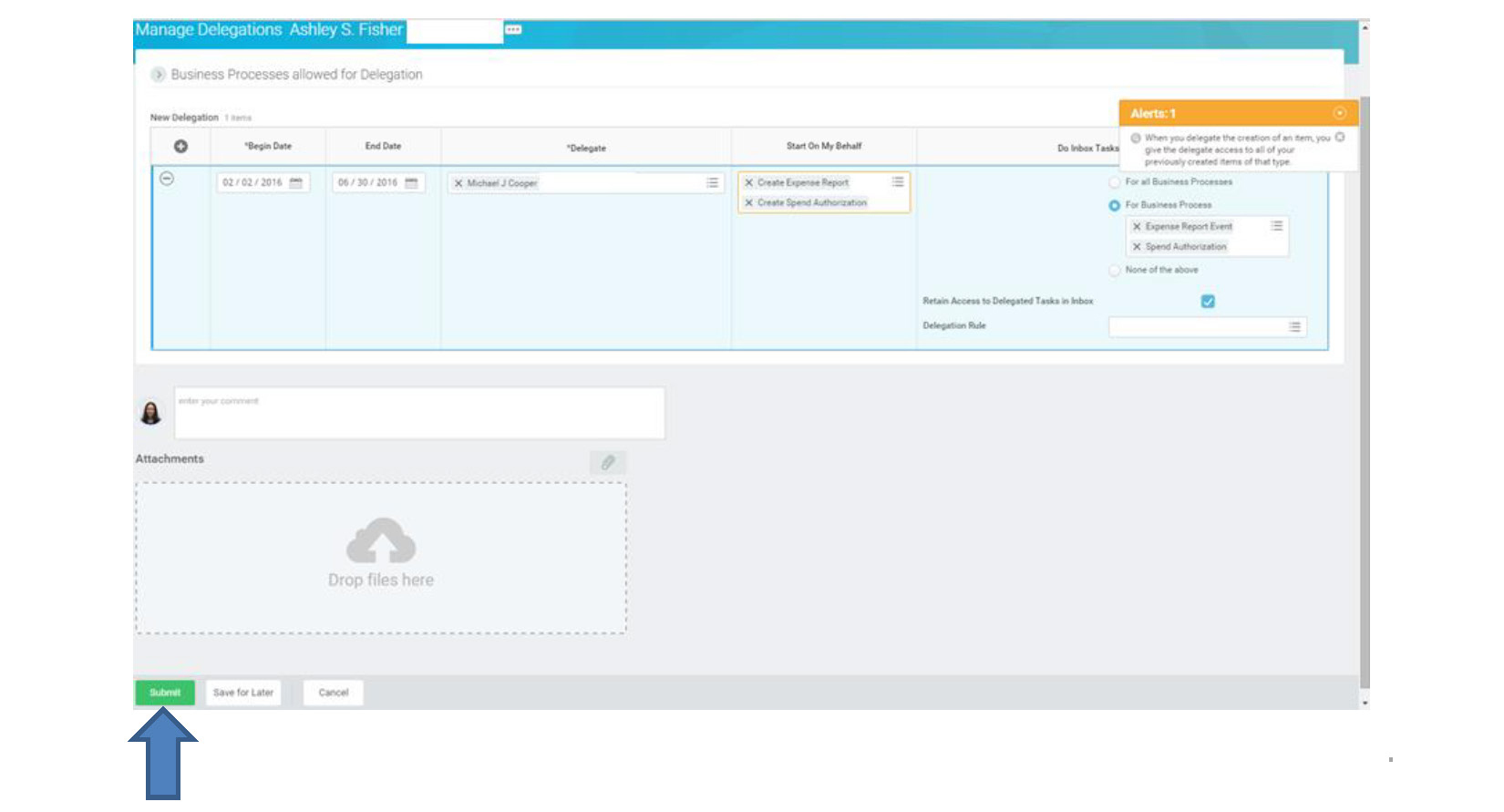 Screenshot showing the completed New Delegation form with Submit button