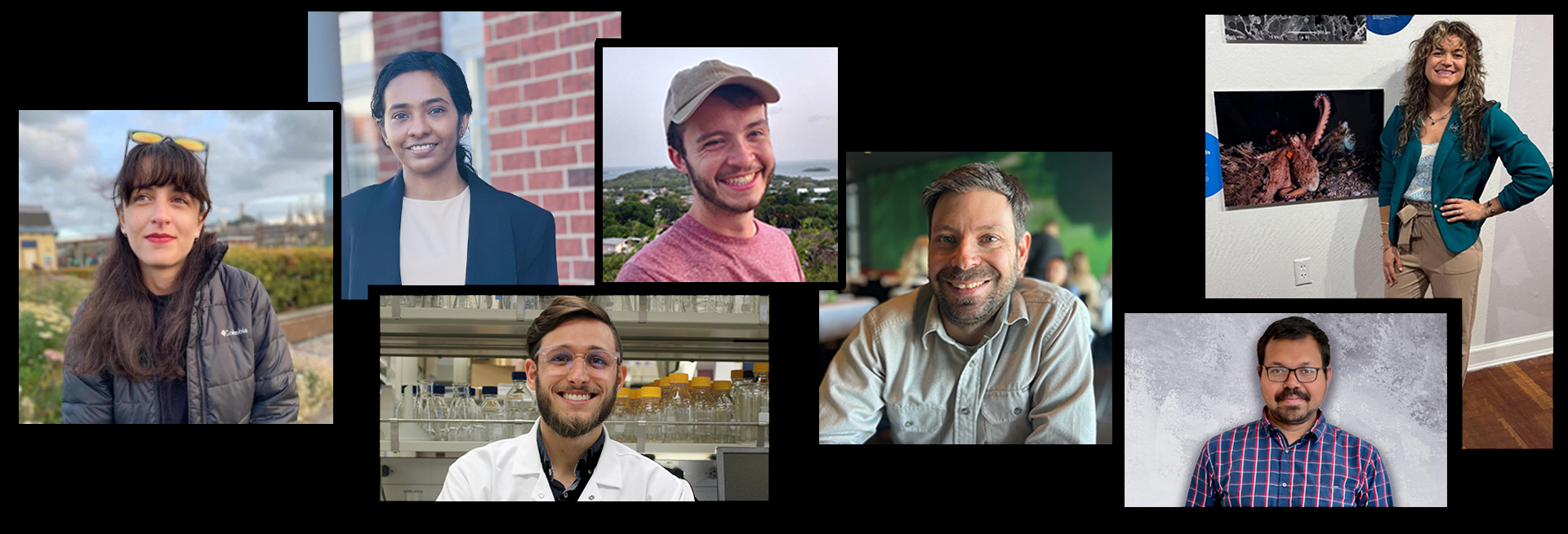 Collage of four FAU postdocs in various labs