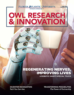 Owl Research and Innovation, Fall 2018