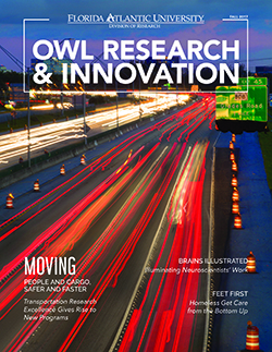 Owl Research and Innovation, Fall 2017