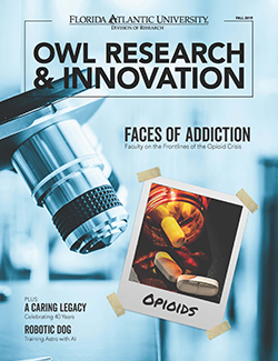 Owl Research and Innovation, Fall 2019