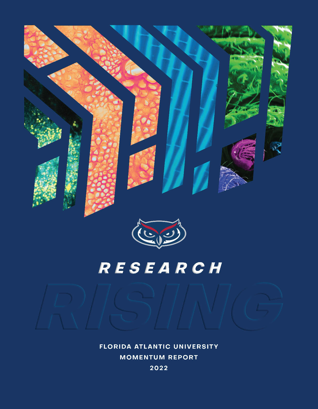 Florida Atlantic University Research Rising Momentum Report 2022 cover