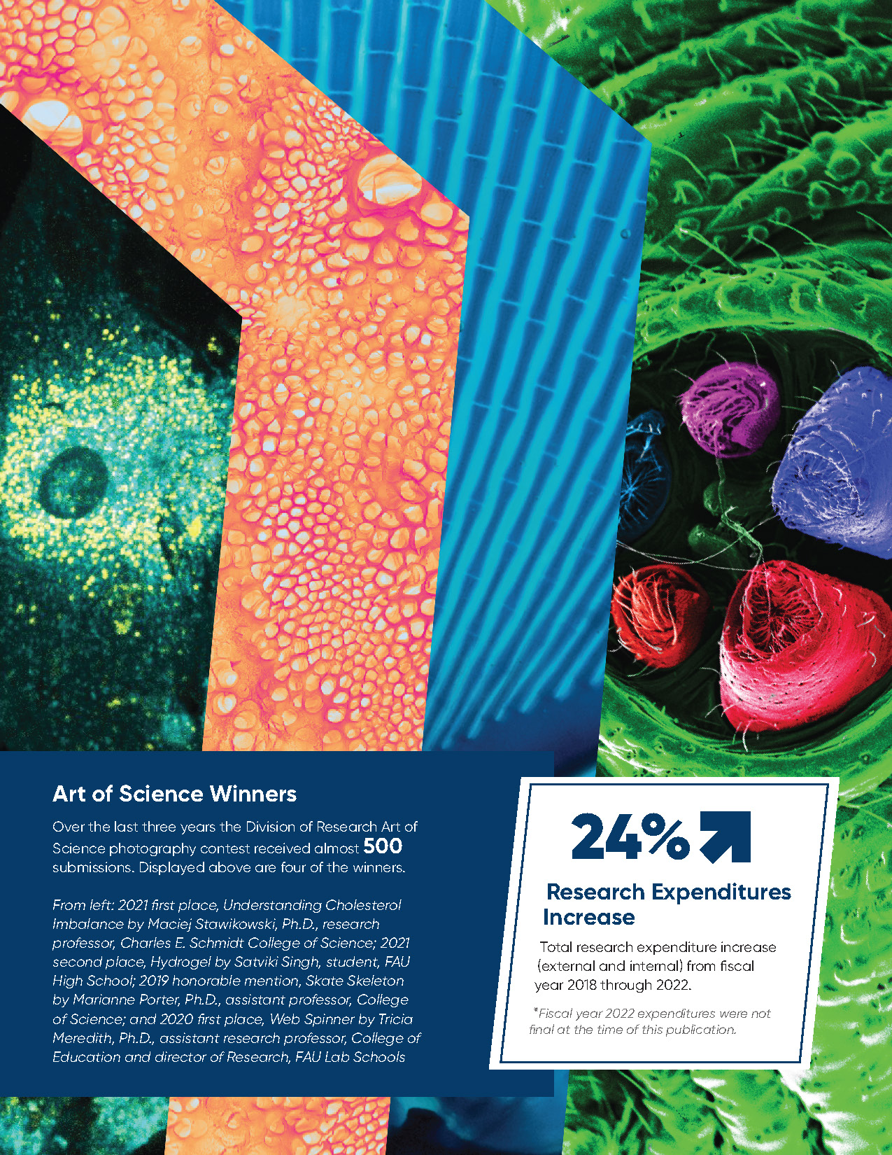 Four Art of Science photography contest winning images showing microscopic and scientific subjects