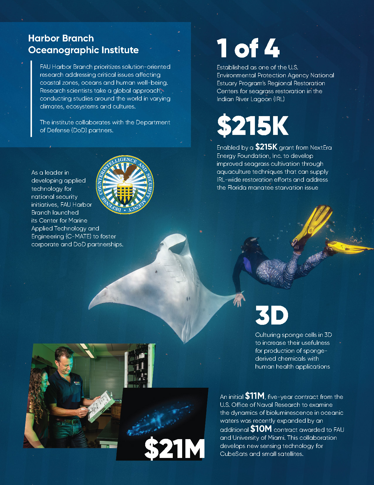 Harbor Branch Oceanographic Institute highlights including a manta ray underwater, researchers reviewing documents, and bioluminescent ocean water