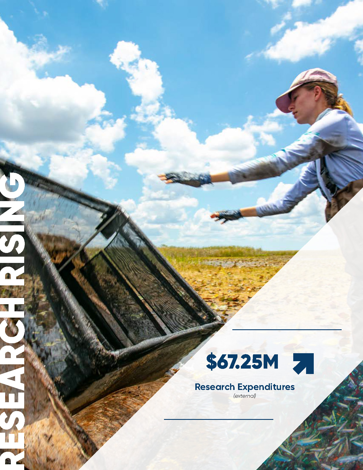 Researcher working outdoors in a wetland field setting