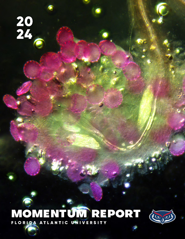 2024 Momentum Report cover, Florida Atlantic University