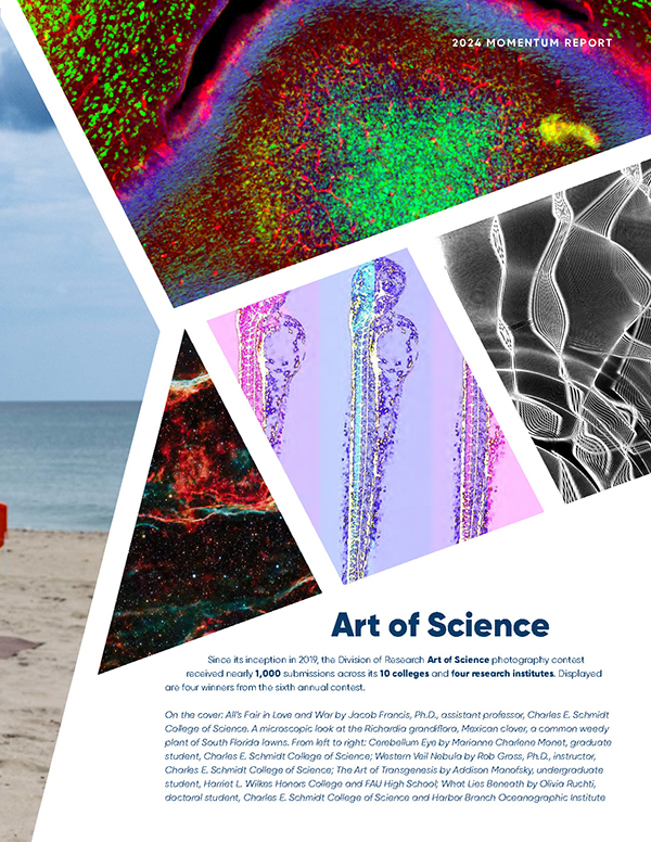 Art of Science photography collage