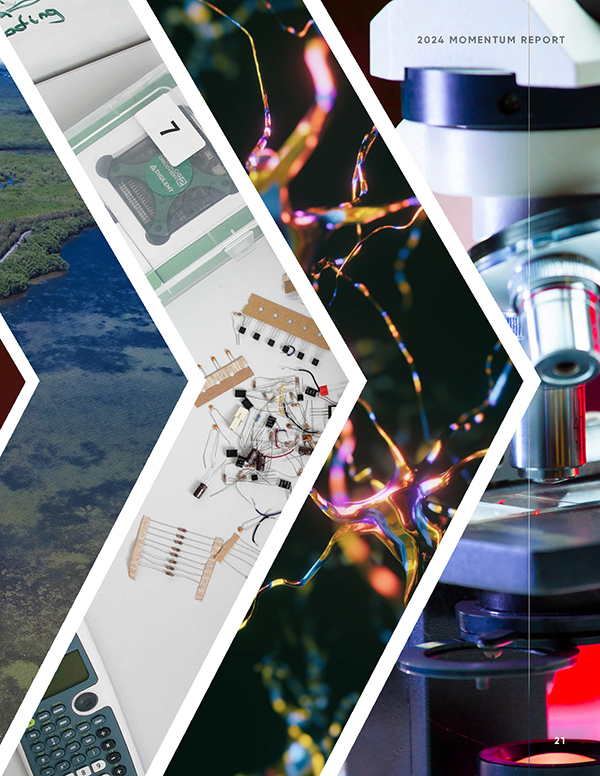 Four-panel collage: researcher in lab, aerial view of wetlands, electronic circuit board, and microscope
