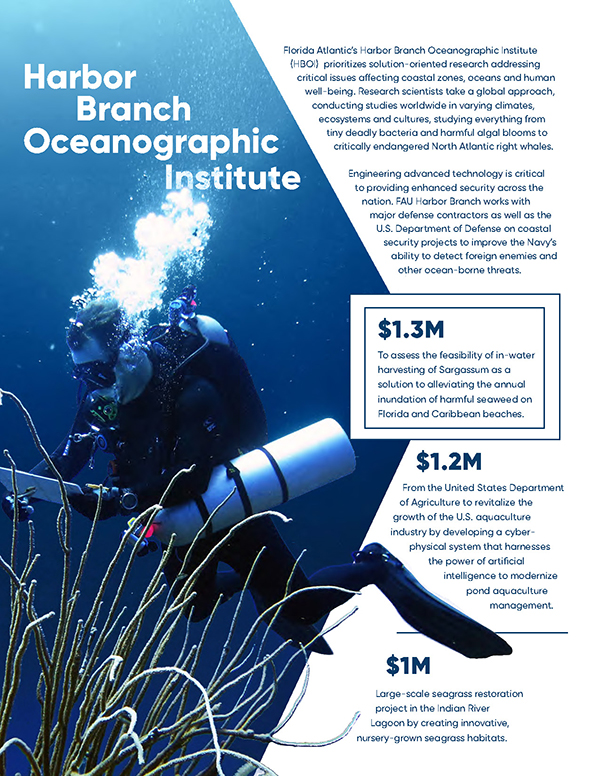 Scuba diver underwater with seagrass (Harbor Branch)