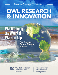 Owl Research and Innovation, Fall 2020