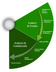 A semicircular diagram titled “Collect & Create” and “Analyze & Collaborate,” illustrating stages of data lifecycle. The diagram is split into two green sections. The upper right, lighter green section, labeled “Collect & Create,” includes the following components listed along a curved arrow: Collaborative Tools & Software, Electronic Lab Notebooks, Documentation & Metadata. The lower left darker green section, labeled “Analyze & Collaborate,” contains: Reproducibility, Analysis Ready Datasets, Image Management, and Version Control. The curved arrow flows clockwise, connecting both sections to represent progression through the data lifecycle.