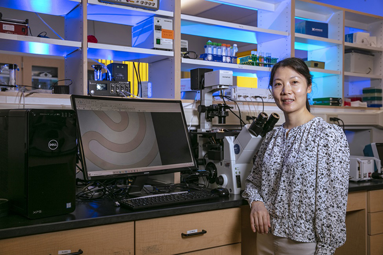 E. (Sarah) Du, Ph.D. in lab