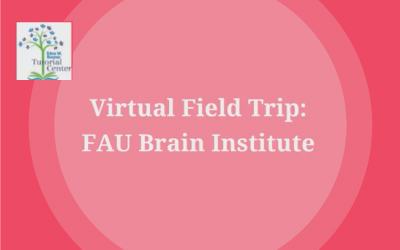 virtual field trip logo pink